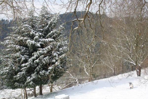 Casa Rural Ecológica Arrizurieta