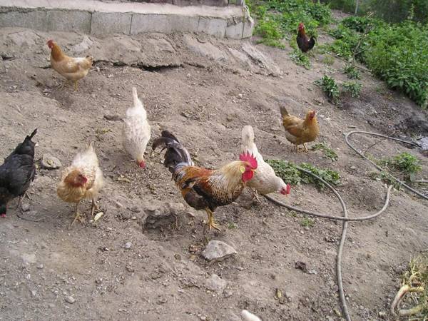 Alojamientos Rurales Benarum