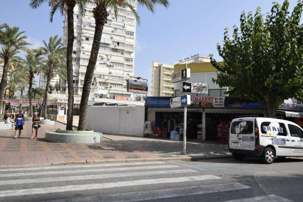 COMERCIAL LEPANTO - FINCAS ARENA