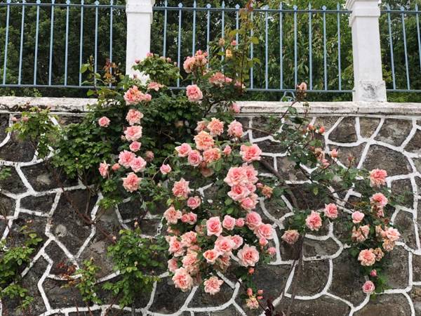 La Casita Del Castañar