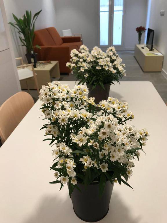 Cosmo Apartments Marina – Auditori