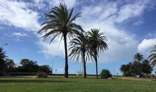 Apartamentos San Bruno Canela