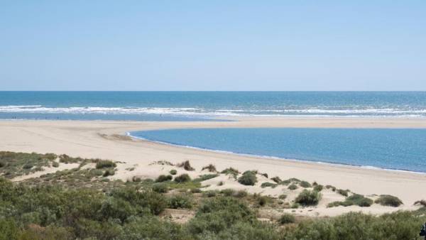 Los Albatros by HOMA