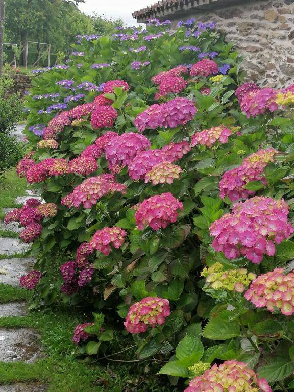 Lar da Mota Boutique Hotel