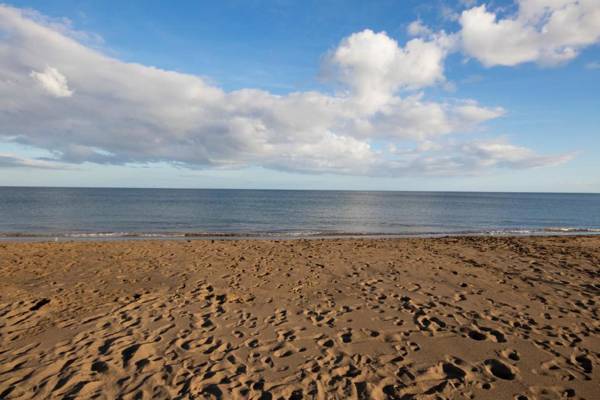 Flower Beach Lanzarote