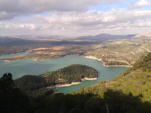 Ardales Park Apartments