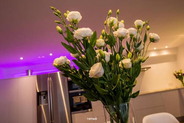 mimar urban altea remedi