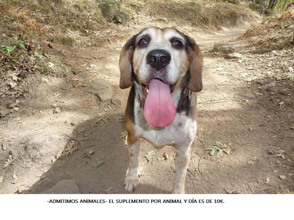 Hotel Venta El Molino