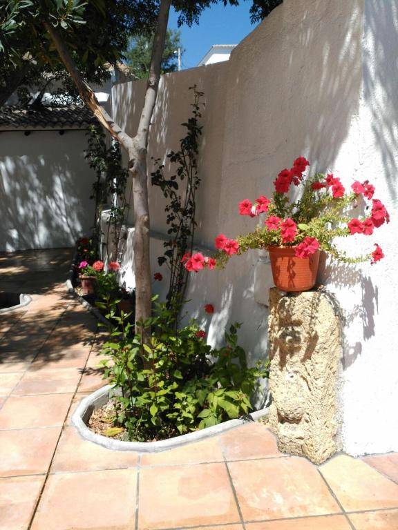 Apartamentos Rurales Molino de Abajo