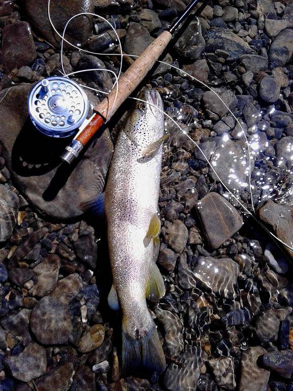 Casa Rural Estarrún