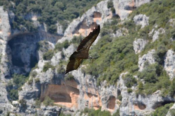 Boutique Hotel Tierra Buxo - Adults Only