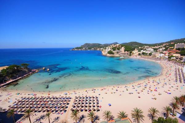 Valentin Reina Paguera - Adults Only