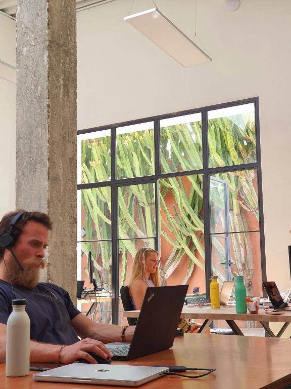Cactus Coliving & Coworking