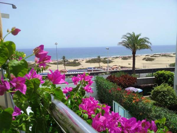 Apartamentos Don Palomón