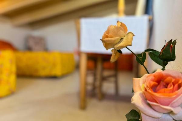 Sa Sini Cozy country house