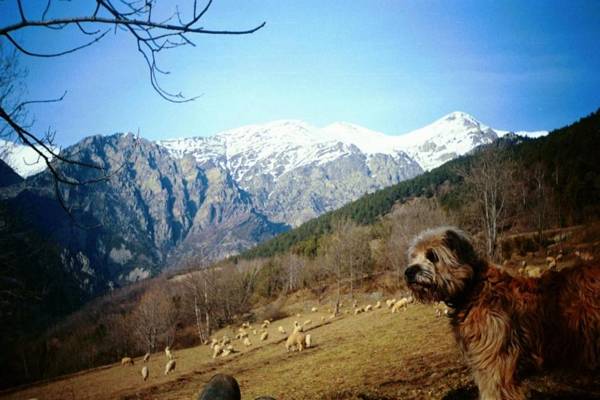 La Cabanya de Cal Forn de Serrat