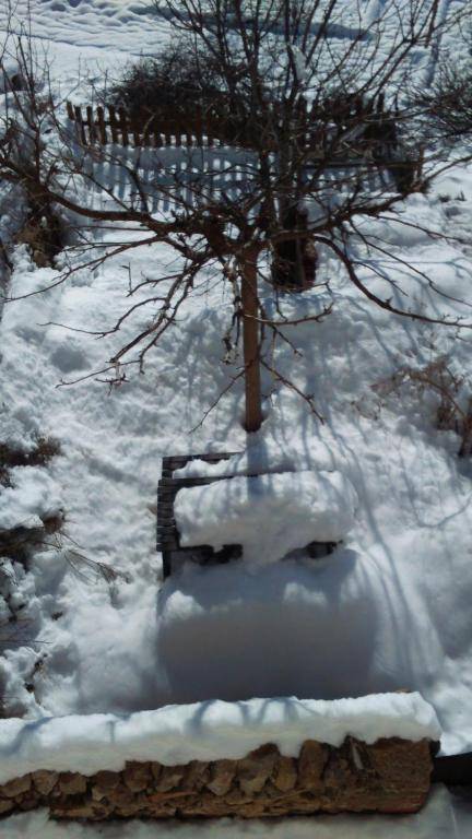 Casa Rural Las Dalias con Hidromasaje