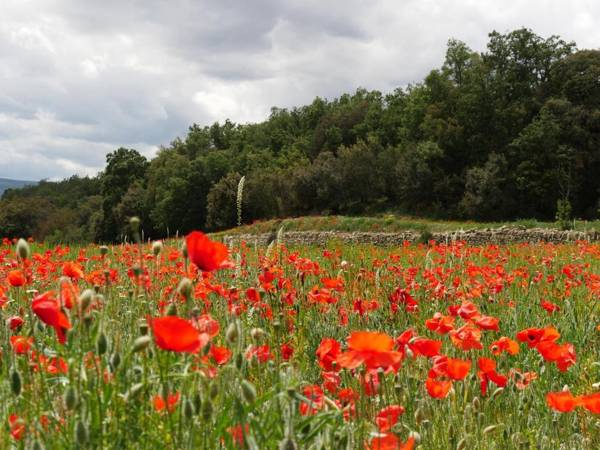 Apartamentos Rurales Casa del Tio Juan