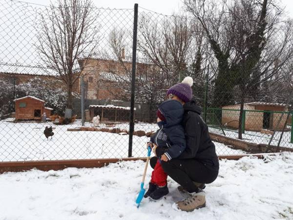 Apartamentos El Prado