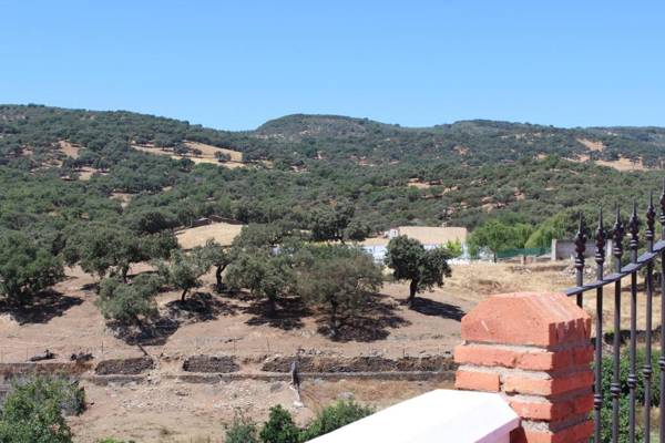 Virgen De Los Remedios