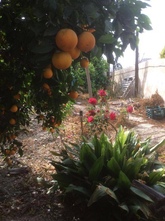 La Joya del Valle de Ricote