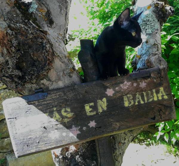 Posada Real El Rincón de Babia