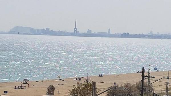 Lydia's Port Nautic & Beach