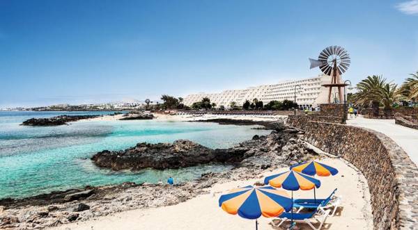 Canaryislandshost l My Nest