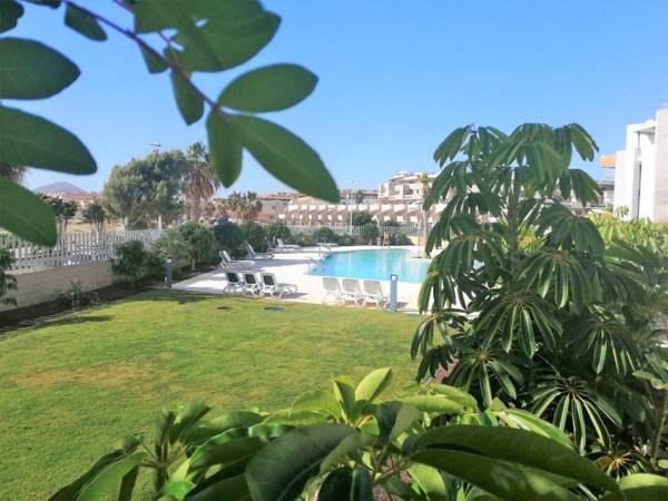 Great place in El Medano