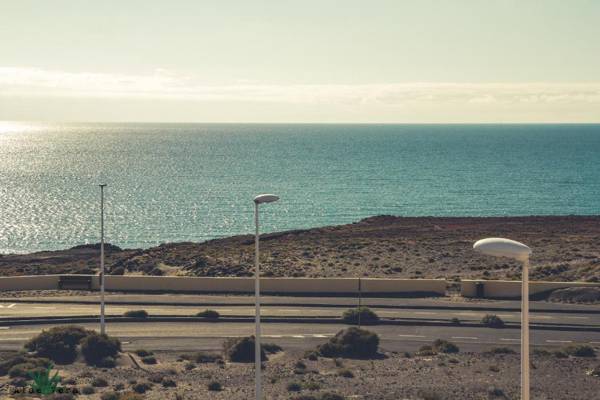 Aloe Vera Shared House