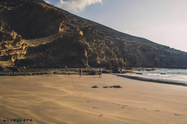 Aloe Vera Shared House