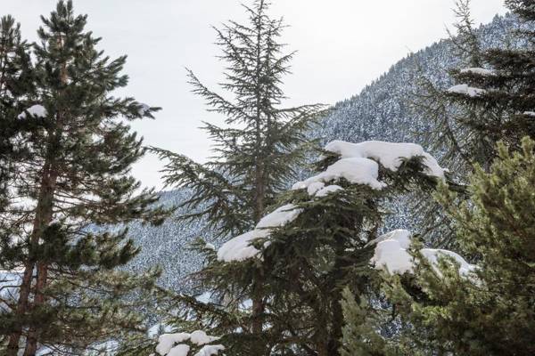 Apartamento Renovado Baqueira 1500