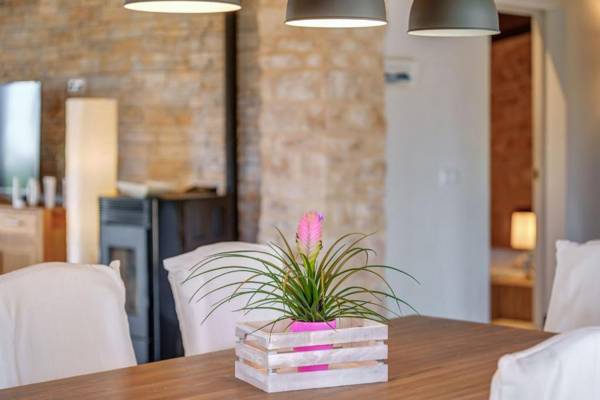 Can Xesquet - Morell