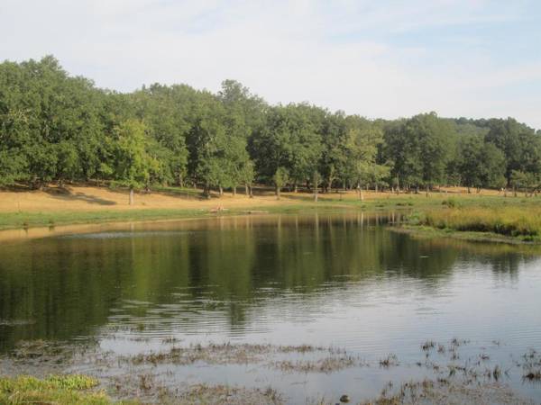 Casa Rural La Calzada