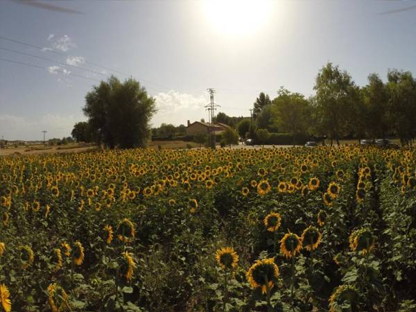La Finca de Salaverri
