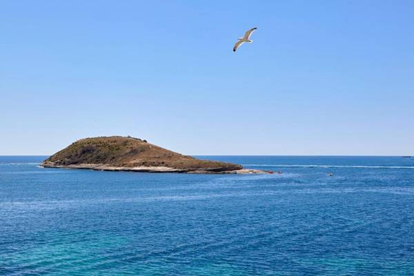 Hotel Florida Magaluf - Adults Only