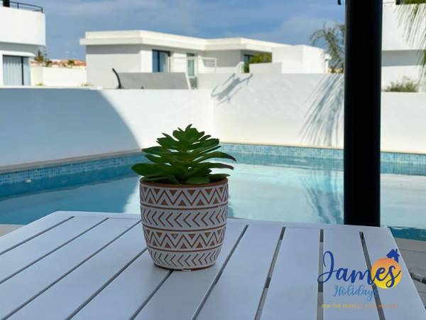 Luxurious Villa Private Pool La Marina Urb LM3
