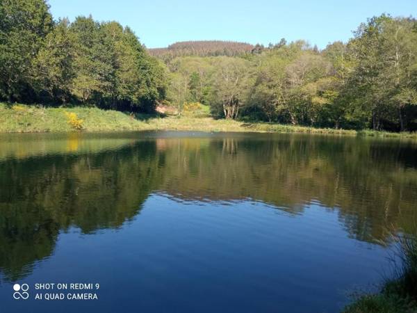 Private room with big pool in the Galician woods