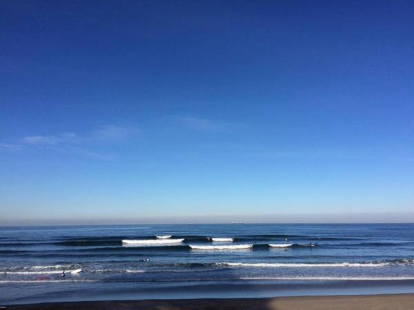 Alamar Salinas House