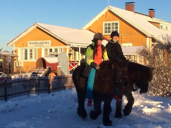 Ilola Maatilamatkailu