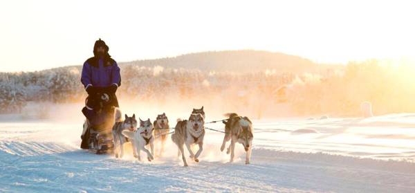 Northern Lights Village Levi