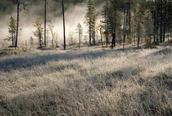 Holiday Club Salla Superior Apartments