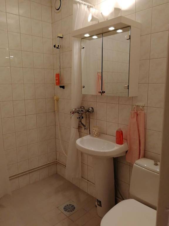 Scandinavian Sun Apartment