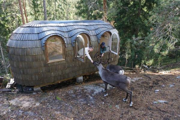 Igluhut – Sleep with reindeer