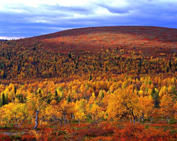 Lapland Hotels Äkäshotelli