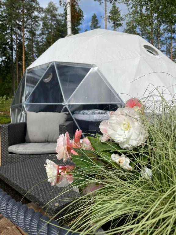 Maja Luxury Glamping Suites