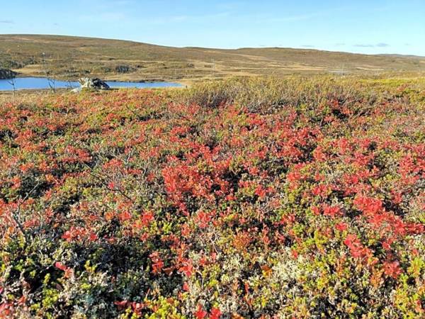 Nuorgam Holiday Village