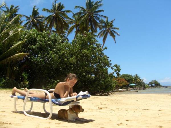 Coconut Grove Beachfront Cottages