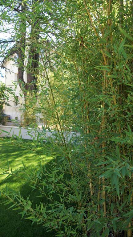 Hôtel de charme L'Orée du Parc