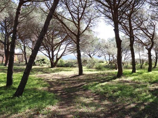 Villa Cavalaire-sur-Mer 5 pièces 8 personnes - FR-1-100-209